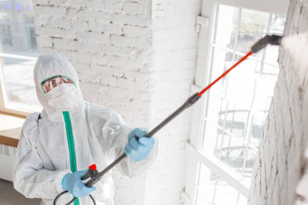 Best Mold Documentation for Insurance Claims  in Fortville, IN
