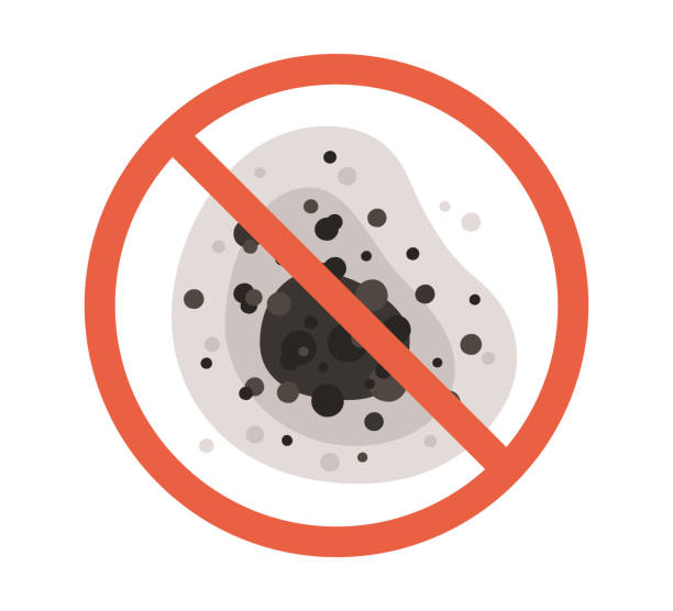 Mold Odor Removal Services in Fortville, IN