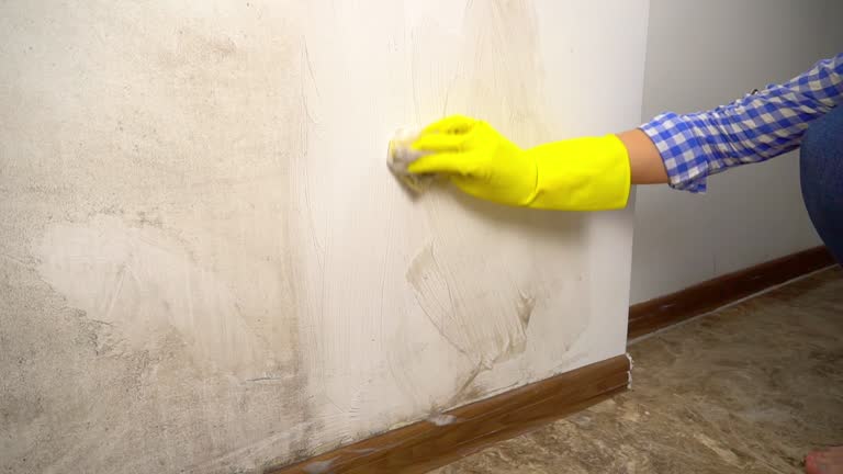 Best Airborne Mold Testing  in Fortville, IN