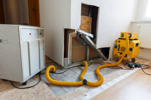 Best Air Quality Testing for Mold Spores  in Fortville, IN