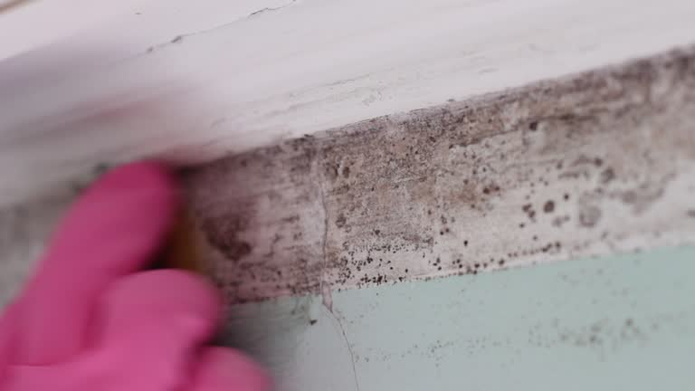Best Indoor Air Quality Assessment  in Fortville, IN